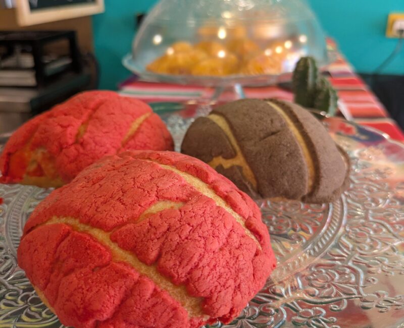 PXL_20260224_154258739